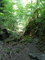 4164.jpg 4164.jpg