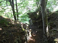 4170.jpg 4170.jpg