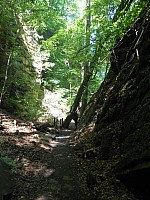 4174.jpg 4174.jpg