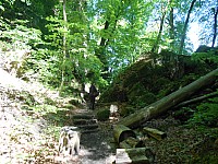 4176.jpg 4176.jpg