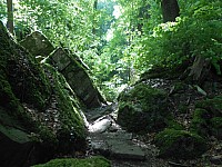 4179.jpg 4179.jpg