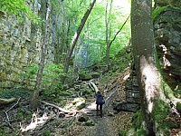4183.jpg 4183.jpg