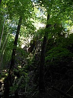 4185.jpg 4185.jpg