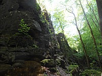 4188.jpg 4188.jpg