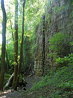 4189.jpg 4189.jpg