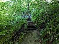 4190.jpg 4190.jpg