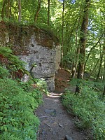 4193.jpg 4193.jpg