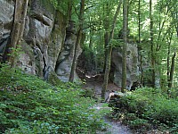 4194.jpg 4194.jpg
