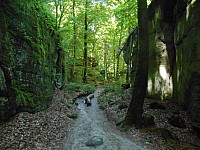 4195.jpg 4195.jpg
