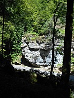 4196.jpg 4196.jpg