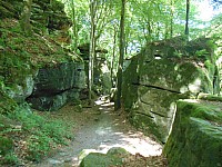 4197.jpg 4197.jpg