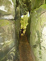 4212.jpg 4212.jpg