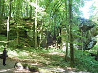 4214.jpg 4214.jpg