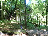 4216.jpg 4216.jpg