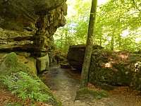 4222.jpg 4222.jpg