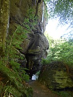 4223.jpg 4223.jpg