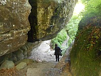 4224.jpg 4224.jpg