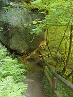 4227.jpg 4227.jpg