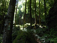 4229.jpg 4229.jpg