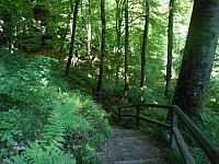 4230.jpg 4230.jpg