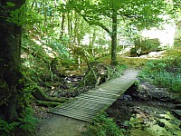 4233.jpg 4233.jpg