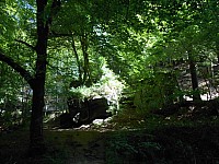 4234.jpg 4234.jpg