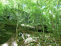 4235.jpg 4235.jpg