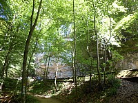 4236.jpg 4236.jpg