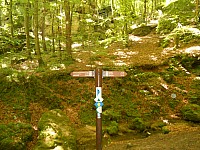 4237.jpg 4237.jpg