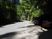 4240.jpg 4240.jpg