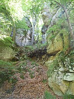 4244.jpg 4244.jpg