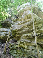 4246.jpg 4246.jpg