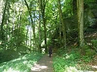 4247.jpg 4247.jpg
