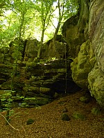 4249.jpg 4249.jpg