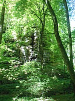 4251.jpg 4251.jpg