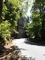 4252.jpg 4252.jpg