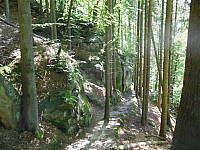 4260.jpg 4260.jpg