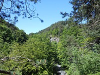 4264.jpg 4264.jpg