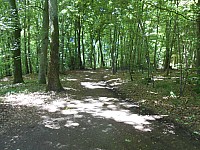 4266.jpg 4266.jpg