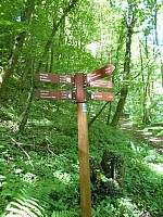 4272.jpg 4272.jpg