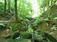 4274.jpg 4274.jpg