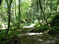 4276.jpg 4276.jpg