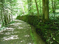 4277.jpg 4277.jpg
