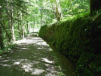 4278.jpg 4278.jpg