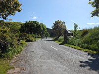 4371.jpg 4371.jpg