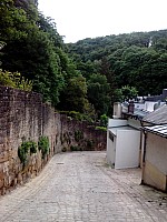 5101735.jpg 5101735.jpg