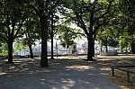 3943.jpg 3943.jpg