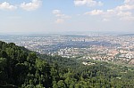 4103.jpg 4103.jpg