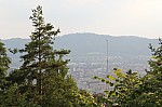 4153.jpg 4153.jpg