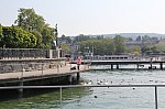 4174.jpg 4174.jpg